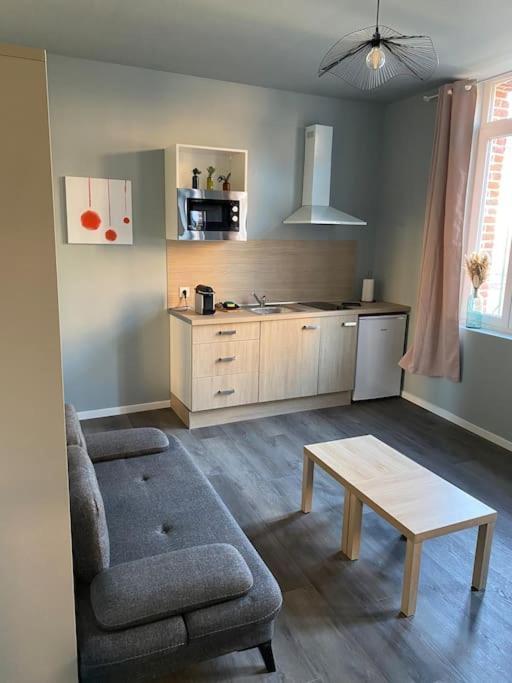 Cambrai:Magnifique Studio Buitenkant foto