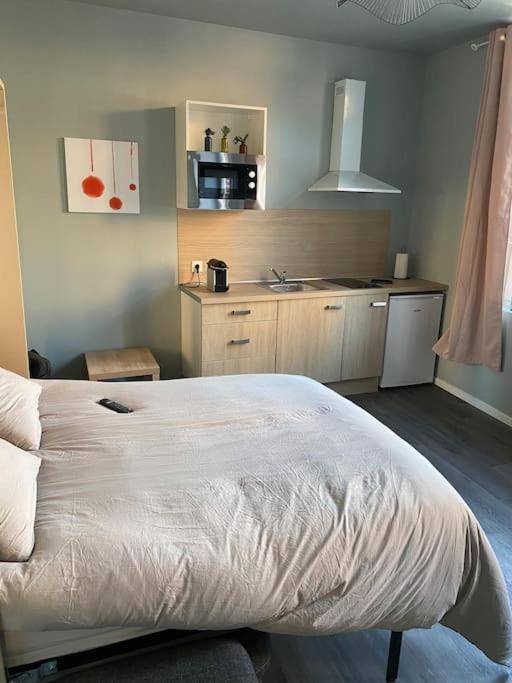 Cambrai:Magnifique Studio Buitenkant foto